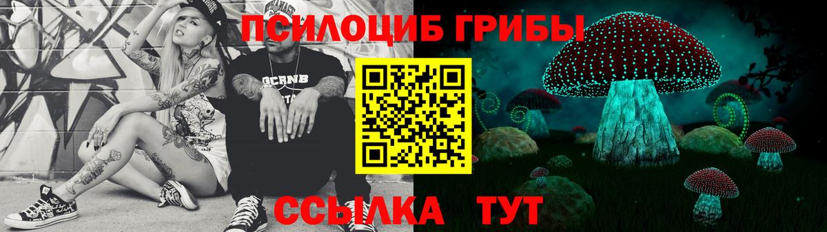 Галлюциногенные грибы Cubensis Топки